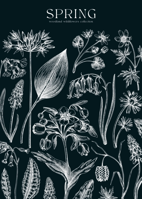 Delicate spring design template. Wildflowers on chalkboard. Woodland wild flower sketches. Floral background, greeting card or invitation. Hand drawn vector illustration, NOT AI